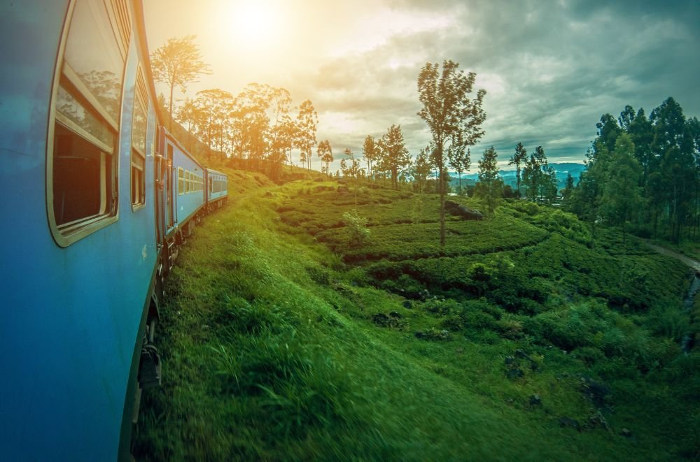 Scenic Train in Sri Lanka